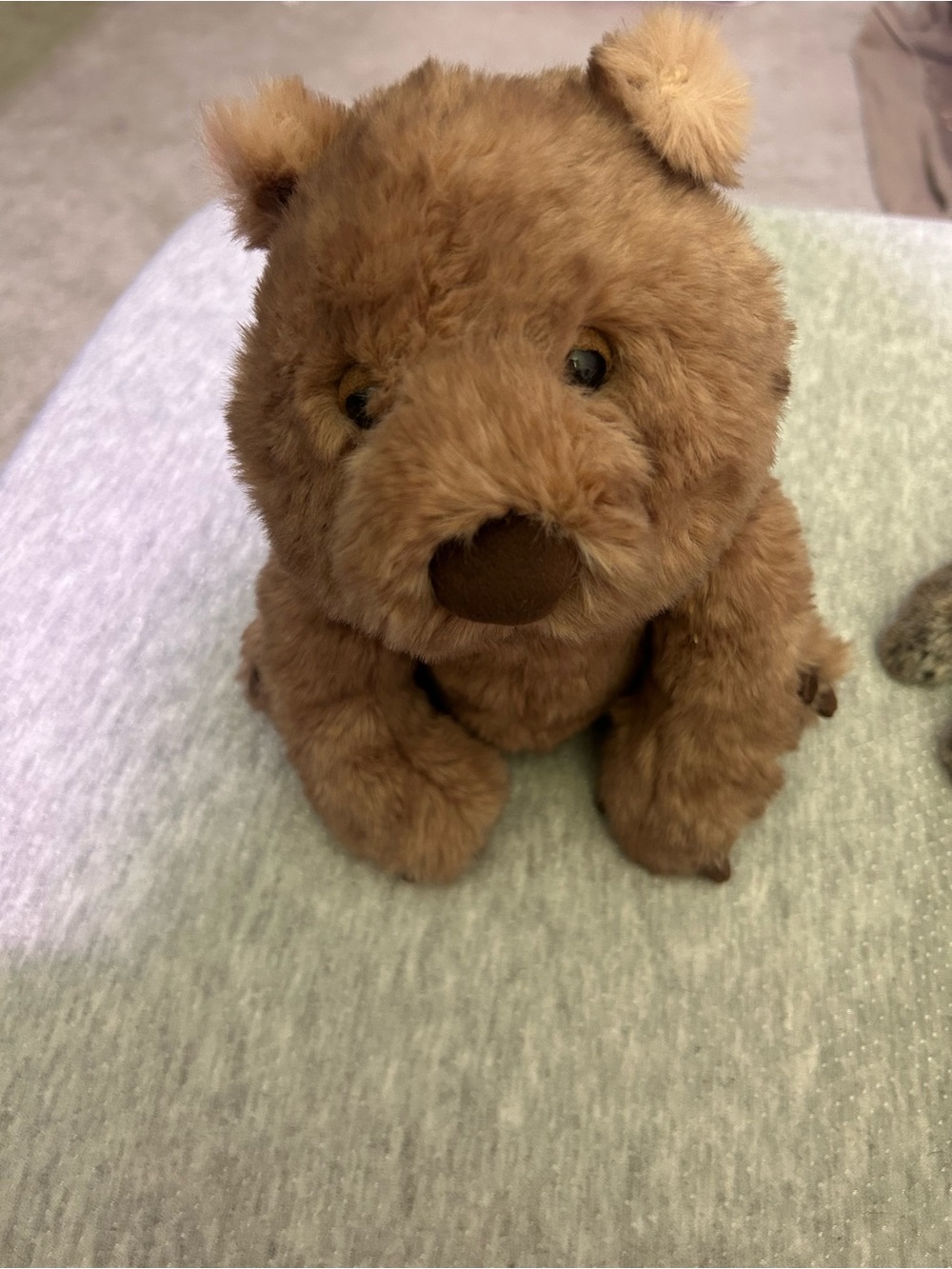 Jellycat wonda wombat